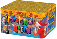 Новогодние цветы Фейерверк купить в Коноше | konosha.salutsklad.ru