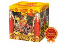 Красивая жизнь Фейерверк купить в Коноше | konosha.salutsklad.ru