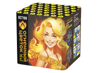 С огоньком! Фейерверк купить в Коноше | konosha.salutsklad.ru