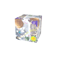 Новогодняя ночь Салют купить в Коноше | konosha.salutsklad.ru