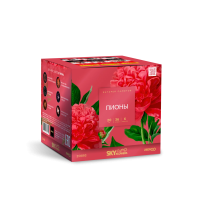 Пионы Салют купить в Коноше | konosha.salutsklad.ru