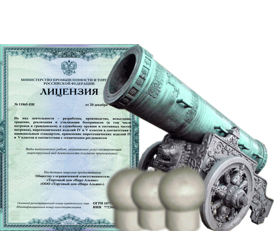 Заказать фейерверк на Новый Год - салют в Коноше