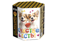 Счастье есть! Салют купить в Коноше | konosha.salutsklad.ru