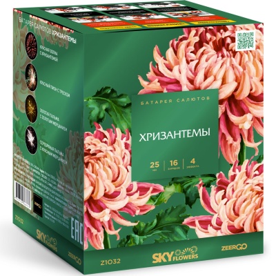 Хризантемы Фейерверк купить в Коноше | konosha.salutsklad.ru
