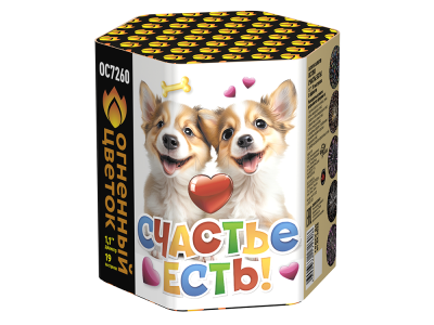 Счастье есть! Салют купить в Коноше | konosha.salutsklad.ru